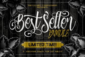 Get these 11 Best-Selling Fonts from Twicolabs - only $27!